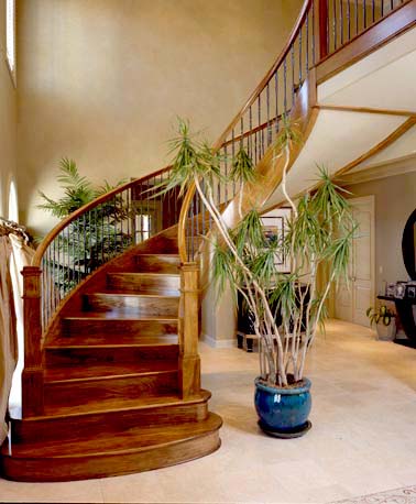 230 Staircase Ideas  stairs, home, staircase
